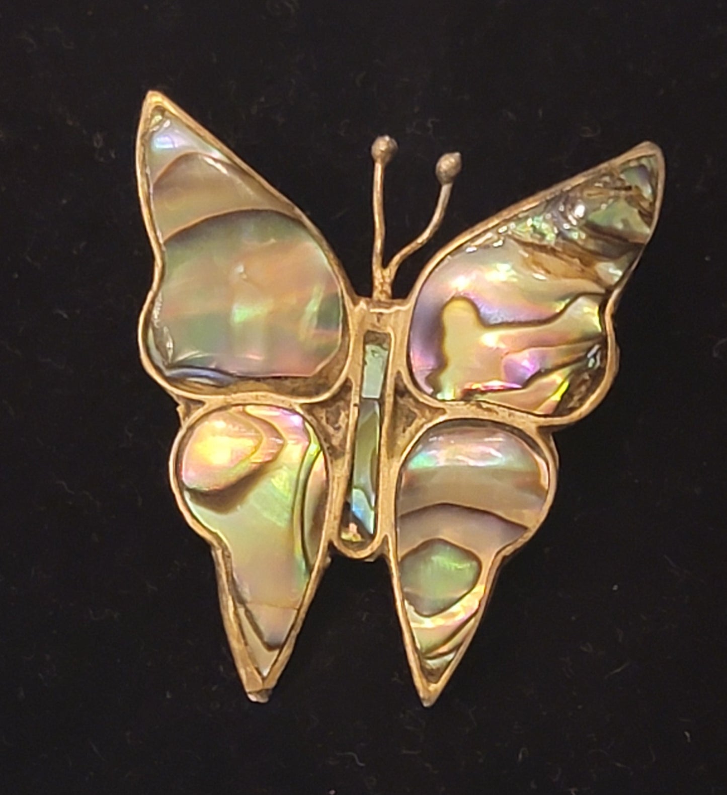 Abalone Butterfly Brooch