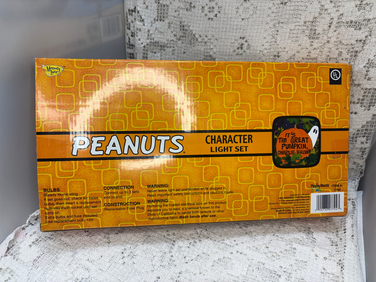 Peanuts Halloween indoor pumpkin lights
