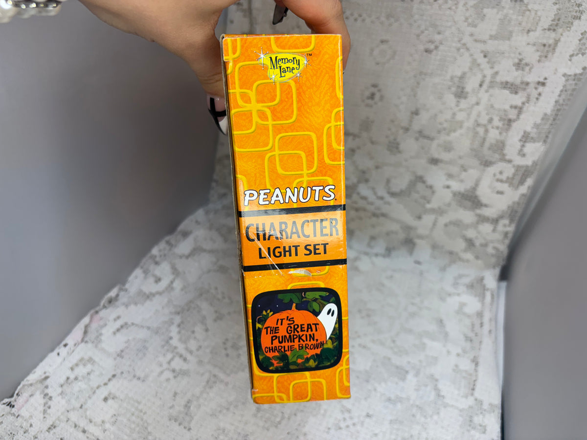 Peanuts Halloween indoor pumpkin lights