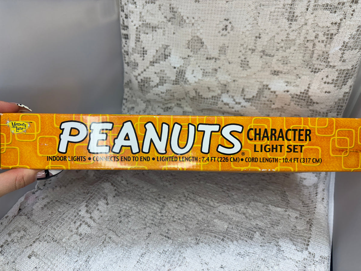 Peanuts Halloween indoor pumpkin lights